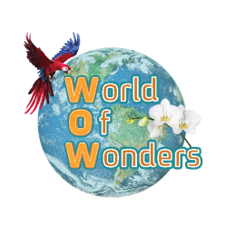 World of Wonders