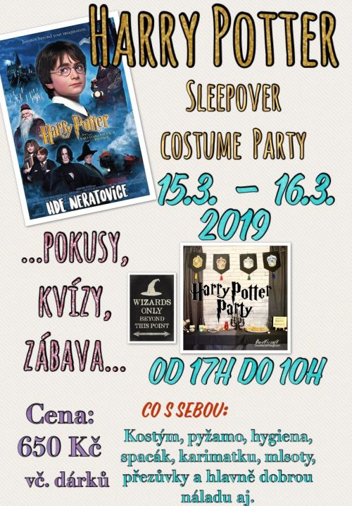 Harry Potter sleepover party